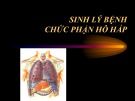 Bài giảng Sinh lý bệnh chức phận hô hấp