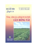 Kỹ thuật Trồng - chăm sóc và phòng trừ sâu bệnh cây bông vải