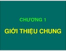 Bài giảng Chương 1: Giới thiệu chung