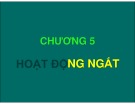 Bài giảng Chương 5: Hoạt động ngắt