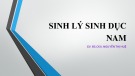 Bài giảng Sinh lý sinh dục nam - GV.BS.CKII Nguyễn Thị Huệ