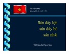 Bài giảng bộ môn Sốt rét - Kí sinh trùng và côn trùng: Sán dây lợn, sán dây bò, sán nhái - TS. Nguyễn Ngọc San (Học viện Quân y)