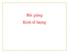 Bài giảng Kinh tế lượng đại cương