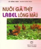 Kỹ thuật nuôi gà thịt Label lông màu: Phần 2