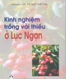 Hướng dẫn trồng vải thiều ở Lục Ngạn: Phần 2