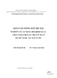 Báo cáo tổng kết đề tài: Nghiên cứu áp dụng mô hình xử lý chất thải cho các hộ sản xuất đá mỹ nghệ tại Non Nước