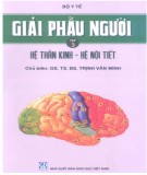 Kỹ thuật Giải phẫu người (Tập 3): Phần 2