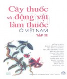 Cẩm nang Cây thuốc và động vật làm thuốc ở Việt Nam (Tập 2): Phần 2