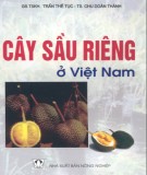 Kỹ thuật trồng Cây sầu riêng ở Việt Nam: Phần 2