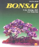 Nghệ thuật tạo dáng cây, thế và Non bộ - Bonsai : Phần 2