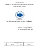 Tiểu luận Vật liệu Composite: Polyurethane & Công nghệ RRIM