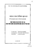 Báo cáo tổng quan đề tài khoa học cấp bộ năm 2006: Thực trạng và giải pháp tiếp tục hoàn thiện chính sách khuyến khích đầu tư ở Việt Nam