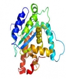 Special issue paper PAR-3D-BLAST: A parallel tool for searching and aligning protein structures