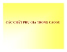 Bài giảng Các chất phụ gia trong cao su