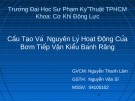 Bài thuyết trình: Cấu tạo và nguyên lý hoạt động của bơm tiếp vận kiểu bánh răng