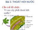 Bài giảng Bài 3: Thoát hơi nước