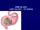 Bài giảng Viêm dạ dày, loét dạ dày - tá tràng - BS. Nguyễn Thị Bích Ngọc