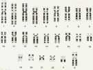 Bài giảng Di truyền phần tử các bệnh