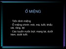 Bài giảng Ổ miệng - Thực quản - Mũi - Hầu - Thanh quản