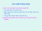 Bài giảng Cơ chế phản ứng