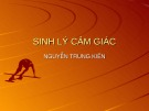 Bài giảng Sinh lý cảm giác - Nguyễn Trung Kiên