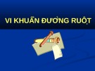 Bài giảng Vi khuẩn đường ruột