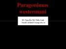 Bài giảng Paragonimus westermani - BS. Nguyễn Thị Thảo Linh