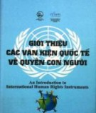 Văn kiện quốc tế về quyền con người: Phần 2