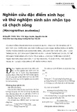 Nghiên cứu đặc điểm sinh học và thử nghiệm sinh sản nhân tạo cá chạch sông (Macrognathus aculeatus)