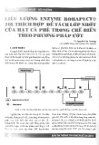 Liều lượng enzyme rohapect 10L thích hợp để tách lớp nhớt của hạt cà phê trong chế biến theo phương pháp ướt