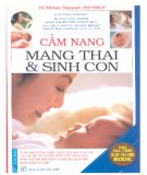 Sổ tay mang thai và sinh con: Phần 1