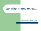 Bài giảng Maple: Bài 8 - Lê Minh Trung