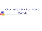 Bài giảng Maple: Bài 6 - Cấu trúc dữ liệu trong maple