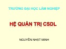 Bài giảng Hệ quản trị cơ sở dữ liệu: Chương 1 - Nguyễn Nhật Minh