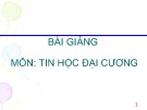 Bài giảng môn Tin học đại cương - Chương 1: Một số khái niệm cơ bản của tin học