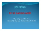 Bài giảng Ápxe gan do Amíp - ThS. Nguyễn Thái Bình