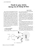 Thiết bị gây nhiễu thông tin di động tế bào