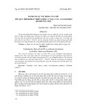 Đánh giá sự tác động của chì lên quá trình phát triển phôi cá Ngựa vằn - Danio rerio (Hamilton, 1822)