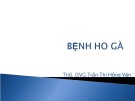 Bài giảng Bệnh học ho gà do - Ths. Trần Thị Hồng Vân