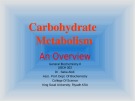 Carbohydrate Metabolism