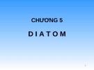 Bài giảng Chương 3: Diatom (Tảo Silic)