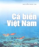 Nghiên cứu Cá biển Việt Nam: Phần 2