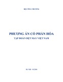 Phương án cổ phần hóa Tập đoàn Dệt may Việt Nam