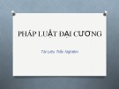 Pháp luật đại cương (Tài liệu trắc nghiệm)