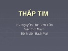 Bài giảng Thấp tim - TS. Nguyễn Thị Bạch Yến