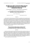 Ảnh hưởng của liều lượng kali bón đến sinh trưởng và năng suất khoai lang tím Nhật (Ipomoea batatasLam.) trên đất phèn ở huyện Bình Tân, tỉnh Vĩnh Long