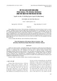 Mô tả ba loài cá mới thuộc giống Silurus Linnaeus, 1758, (Siluridae, Siluriformes) được phát hiện ở các tỉnh phía Bắc Việt Nam