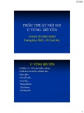 Bài giảng Phẫu thuật nội soi u vùng hố yên - PGS.TS. Lê Công Định