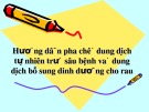 Bài giảng Hướng dẫn pha chế dung dịch tự nhiên trừ sâu bệnh và dung dịch bổ sung dinh dưỡng cho rau