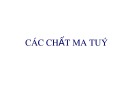 Bài giảng Các chất ma tuý